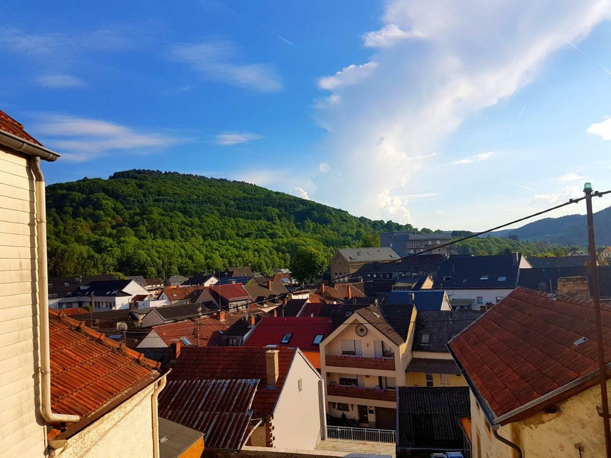 Ein Trip In Die Natur Villa Bollendorf Buitenkant foto